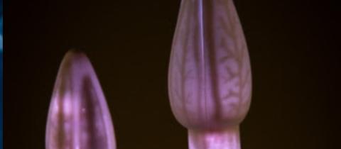 Udatinos, l’installazione creata grazie al “benessere” dell’acqua del fiume Adige