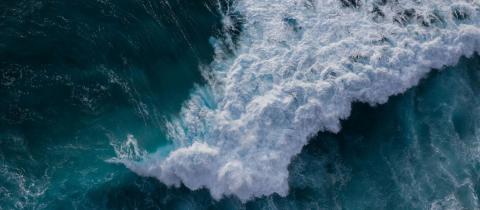 Un’ondata di consapevolezza: perché il 5 novembre il mondo parla di tsunami