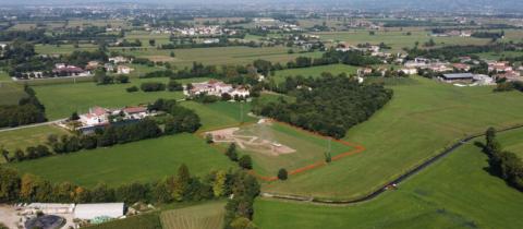 La Giornata Mondiale degli Alberi, un giorno per celebrare i polmoni verdi del pianeta