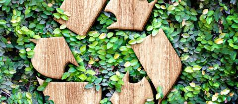 Sostenibilità in Italia: a che punto siamo? Ce lo svela il Rapporto ASviS