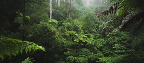 Zone umide: i luoghi d’acqua che lavorano in silenzio