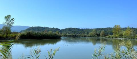 Sanpellegrino lancia F.O.N.T.E.: un ecosistema di progetti per il futuro dell’acqua