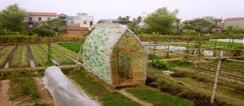 Vegetable Nursery Home