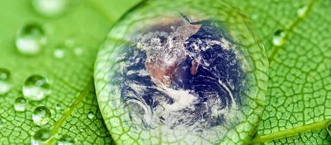 Giornata della Terra, come prendersi cura del Pianeta