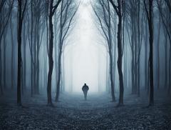 Acqua e nebbia, un rapporto avvolto nel mistero