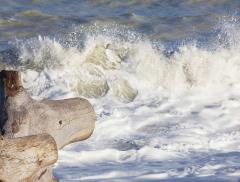 Leopardi e il mare, un amore in versi – In a Bottle