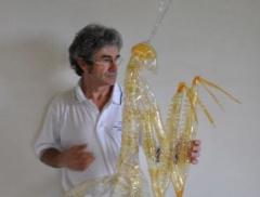 Danilo Marchi e il lato romantico del PET