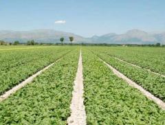 La FAO lancia l'allarme, tutelare la risorsa acqua per salvaguardare il pianeta