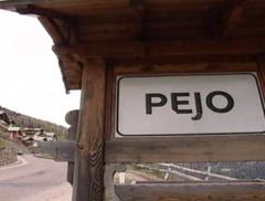 Pejo, quando il legno si trasforma in energia pulita