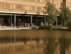 Urban Waterscape di Potsdamer Platz, Berlino ecosostenibile