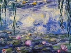 Monet espone le sue "opere d'acqua" a Pavia dal 14 settembre al 15 dicembre
