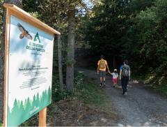 Camminare per conoscere il sentiero diventa una chiave per leggere il territorio