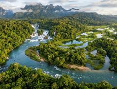 L’acqua che plasma i tropici il motore invisibile di paesaggi e biodiversità riformulato