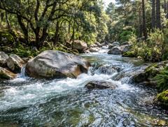 L’acqua, simbolo del cambiamento. Perché continuiamo a pensare in modo liquido