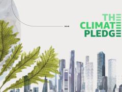 Climate Pledge, cos’è il piano di Amazon per l’ambiente