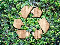 Giornata Mondiale dell’ambiente: come celebrare il Pianeta?