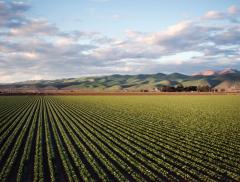 Agricoltura: le imprese più sostenibili sono le più competitive
