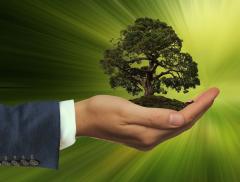 Certificazioni di sostenibilità, tra greenwashing e Direttive UE