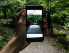 Green influencer: chi sono e perché seguirli