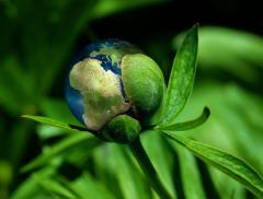 Quali saranno i trend di investimento ESG nel 2023?