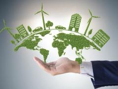Come si diventa sustainability manager 