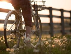 SA(L)VALA, 65 km in bici alla scoperta di cultura e sostenibilità