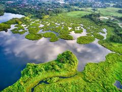 Biodiversità: Europa leader nel mondo nella ricerca 