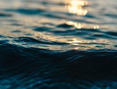 Giornata mondiale degli Oceani: vita e mezzi di sussistenza
