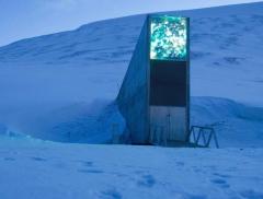 Svalbard Global Seed Vault: che cos’è la banca mondiale dei semi? 