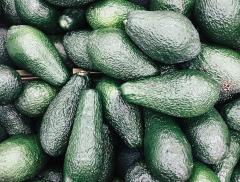 Come rendere la produzione di avocado più sostenibile