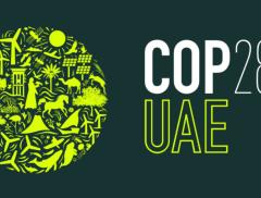 COP28: cosa aspettarsi dalla conferenza ONU di Dubai
