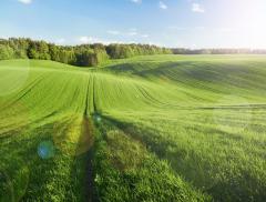 Le parole più usate nel 2024 legate a clima ed ambiente