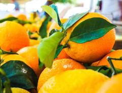 Frutta e verdura: cosa comprare in inverno