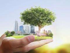 Tutto quello che c'è da sapere sui Crediti di Carbonio