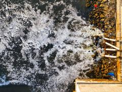 Acque reflue in agricoltura: una soluzione sostenibile per la siccità?