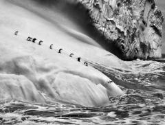 “Ghiacciai”, la mostra fotografica di Sebastião Salgado 
