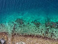 Perché l’acqua è trasparente: una questione di luce