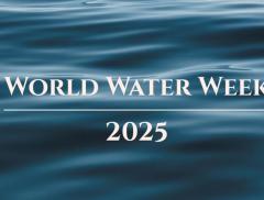 World Water Week: di cosa parla e dove si tiene l’edizione 2025