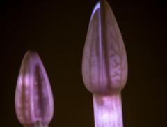 Udatinos, l’installazione creata grazie al “benessere” dell’acqua del fiume Adige 