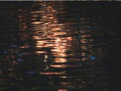 Artisti contemporanei e l’acqua come fonte d’ispirazione: da Olafur Eliasson a Bill Viola