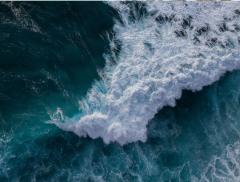 Un’ondata di consapevolezza: perché il 5 novembre il mondo parla di tsunami