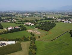 La Giornata Mondiale degli Alberi, un giorno per celebrare i polmoni verdi del pianeta
