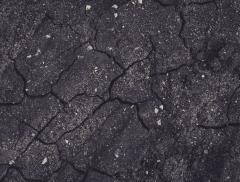 Giornata Mondiale del Suolo: perché il 5 dicembre ci ricorda ciò che non vediamo