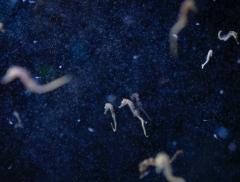 Hotspot Mediterraneo, la prima mostra in Italia che racconta gli effetti del cambiamento climatico sul Mare Nostrum