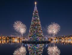 Gli alberi di Natale sulll’acqua più spettacolari al mondo