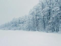Dove nasce la neve: il viaggio invisibile di una goccia d’acqua