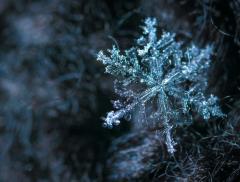 Perché ogni fiocco di neve è diverso: la scienza delle forme
