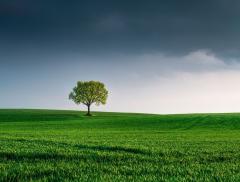 L’importanza della logistica verso la transizione ecologica