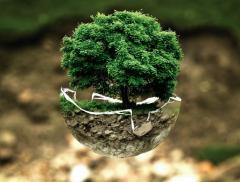 Cos’è la transizione ecologica e perché è importante