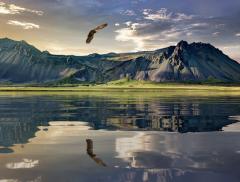 “Acqua alpina”, la poesia che celebra la vitalità della montagna